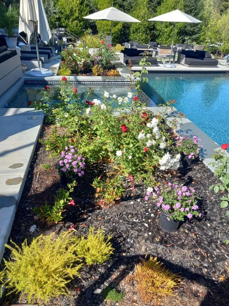 Top-rated lawn care service for residential properties across Martinez, CA - B&P Gardening Tree Service