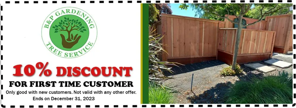 Top-rated lawn mowing service in Martinez, CA - B&P Gardening Tree Service