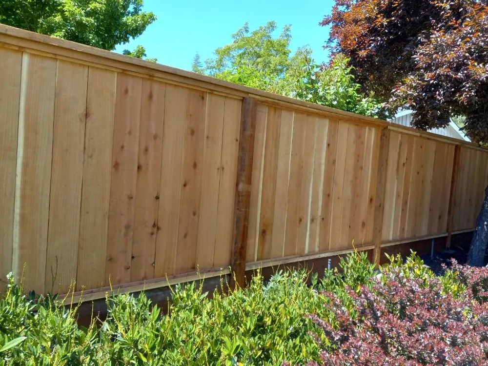 Top-rated yard maintenance experts serving Martinez, CA - B&P Gardening Tree Service