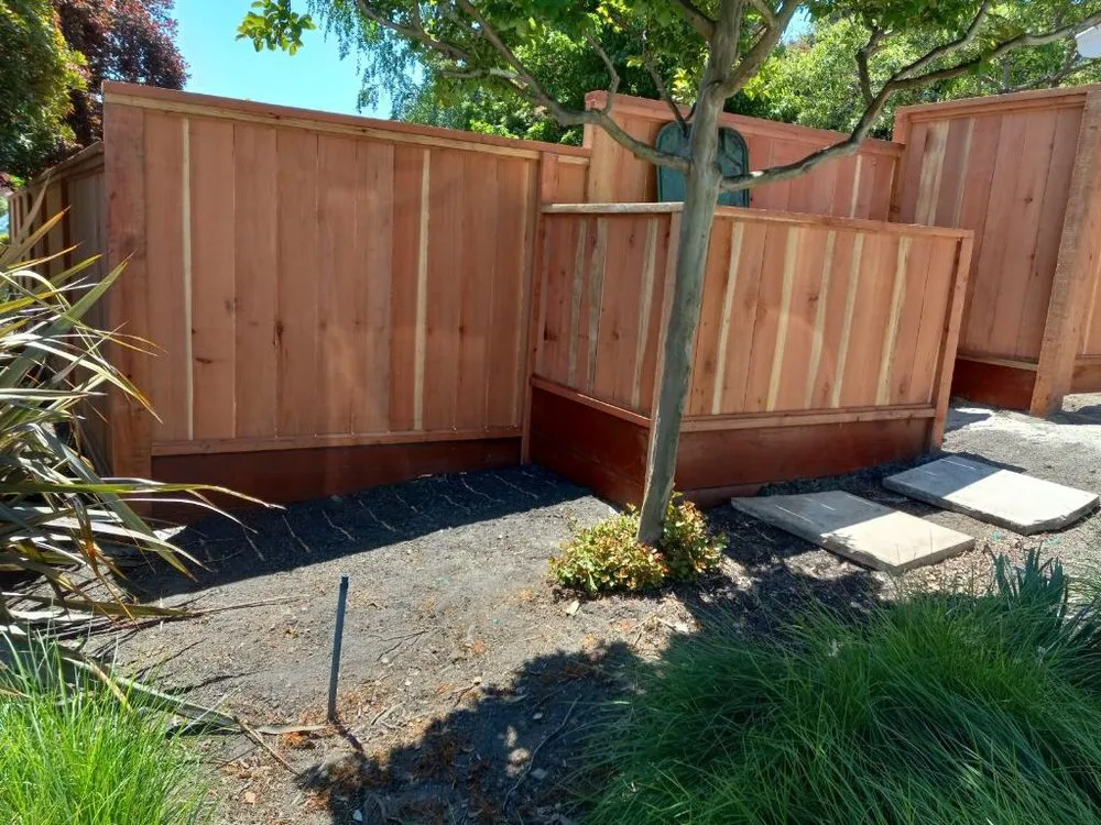 Trusted landscape design in Martinez, CA by B&P Gardening Tree Service