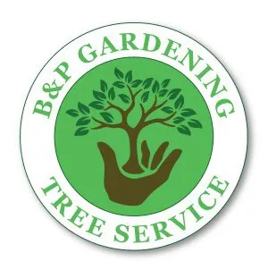 Reliable landscaping services in Martinez, CA - B&P Gardening Tree Service