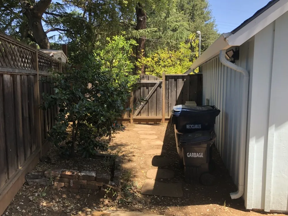 Top-rated yard cleanup service experts serving Martinez, CA - B&P Gardening Tree Service