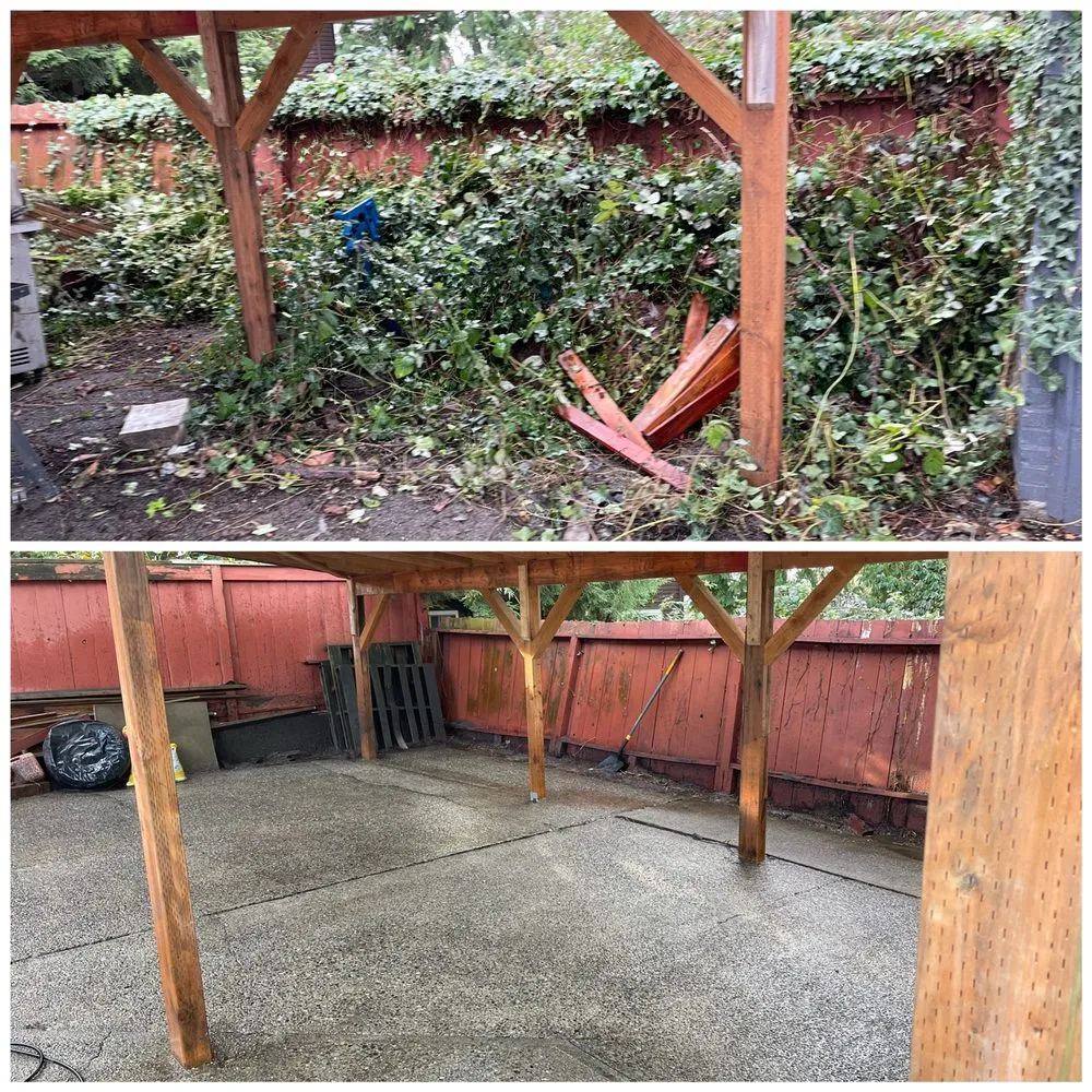 Top-rated outdoor landscaping for beautiful yards in Seattle, WA by Bp Greenworks