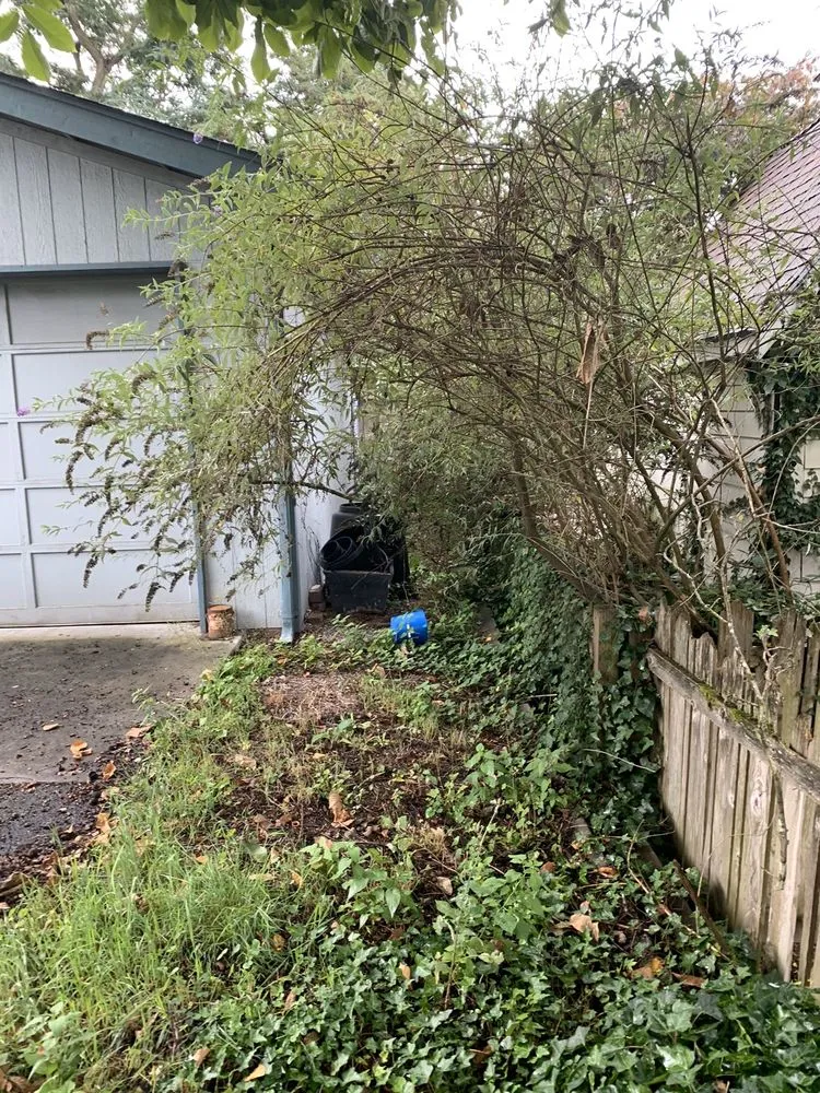 Expert landscape installation experts serving Seattle, WA - Bp Greenworks