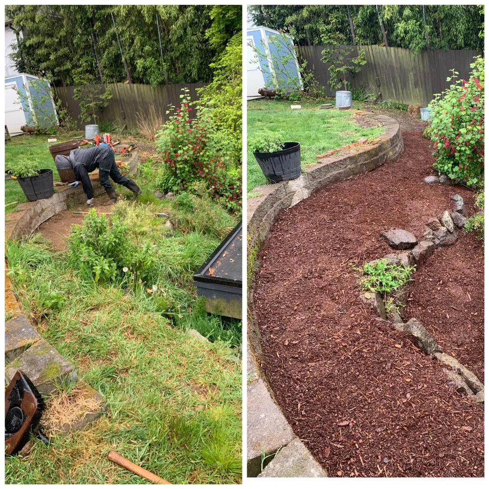 Trusted landscaping services for beautiful yards in Seattle, WA by Bp Greenworks