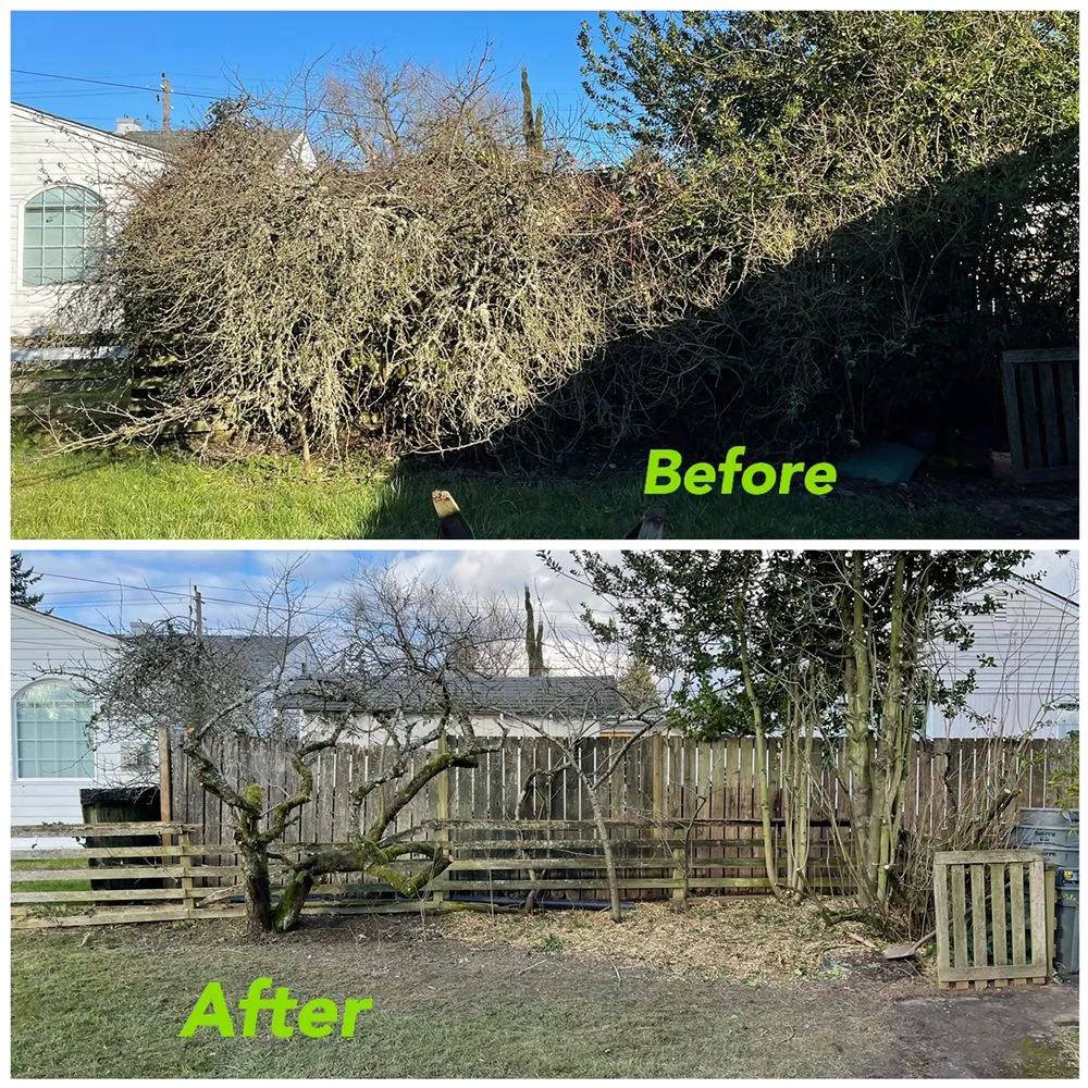 Affordable residential landscaping experts serving Seattle, WA - Bp Greenworks