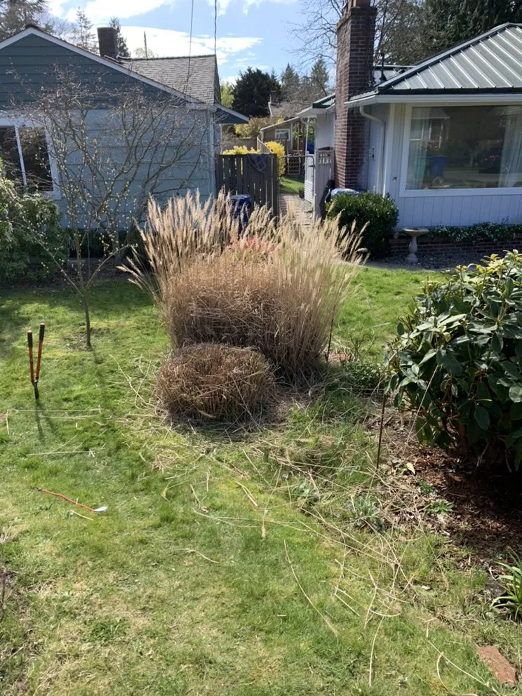 Professional lawn mowing service in Seattle, WA - Bp Greenworks