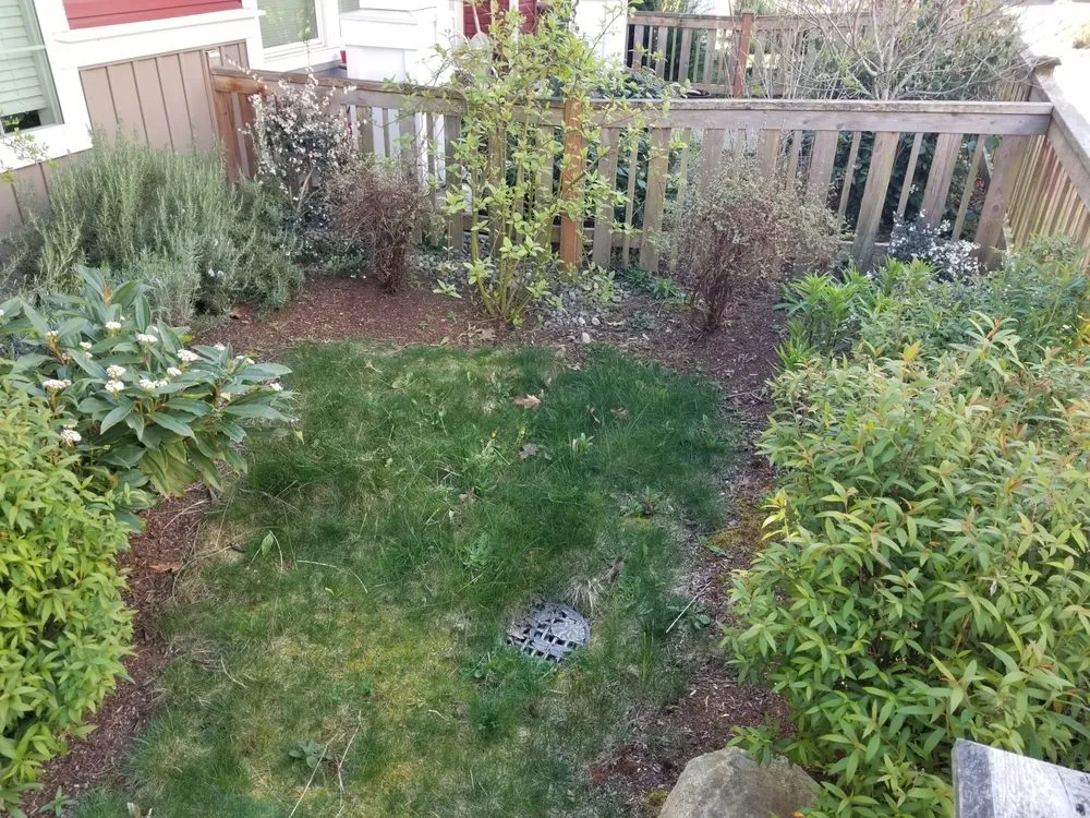 Trusted landscaping services near you in Seattle, WA by Bp Greenworks
