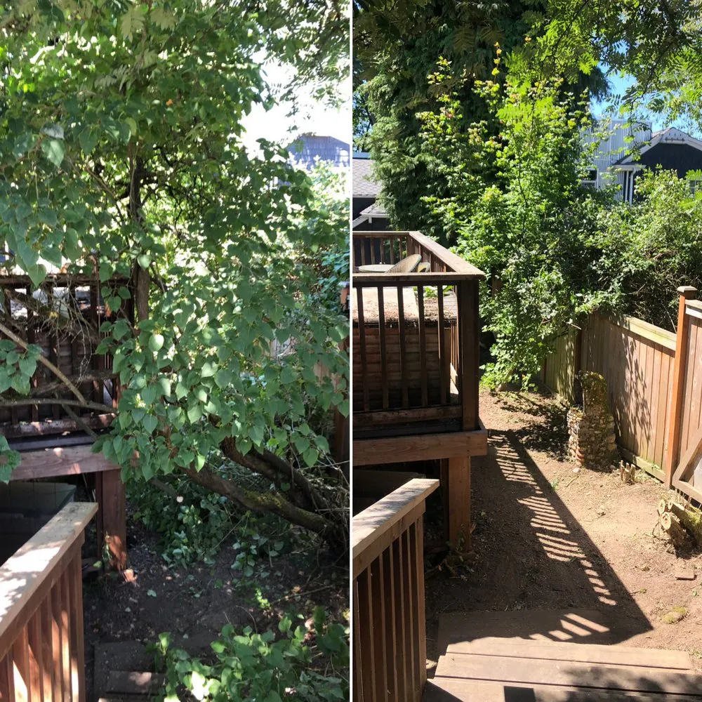 Professional landscaping services for year-round maintenance in Seattle, WA by Bp Greenworks