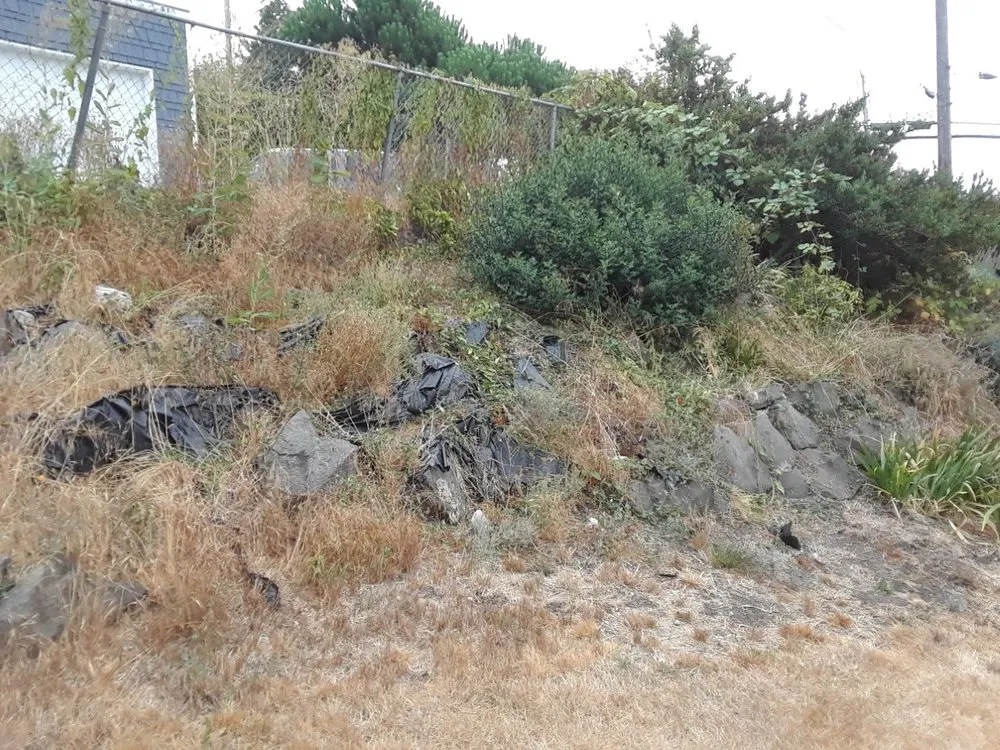 Custom garden landscaping experts serving Seattle, WA - Bp Greenworks