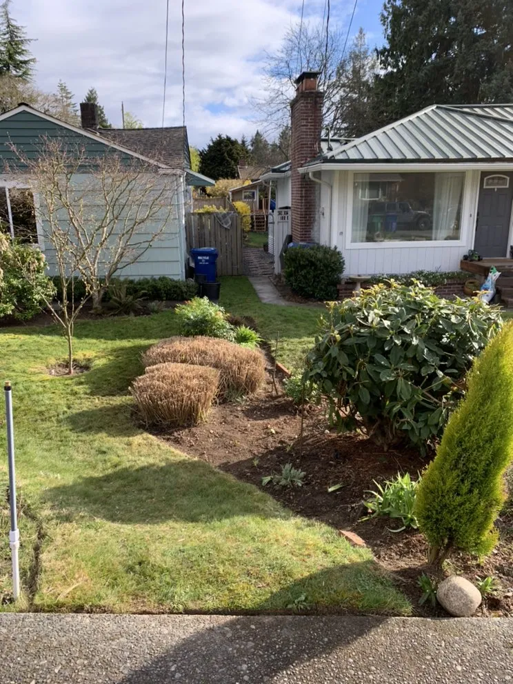 Local landscaping services in Seattle, WA - Bp Greenworks