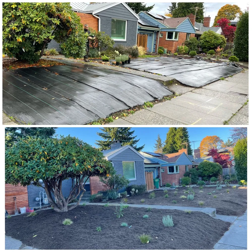Local garden landscaping in Seattle, WA by Bp Greenworks