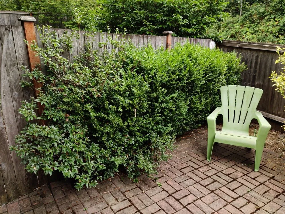 Affordable landscaping services for residential properties across Seattle, WA - Bp Greenworks