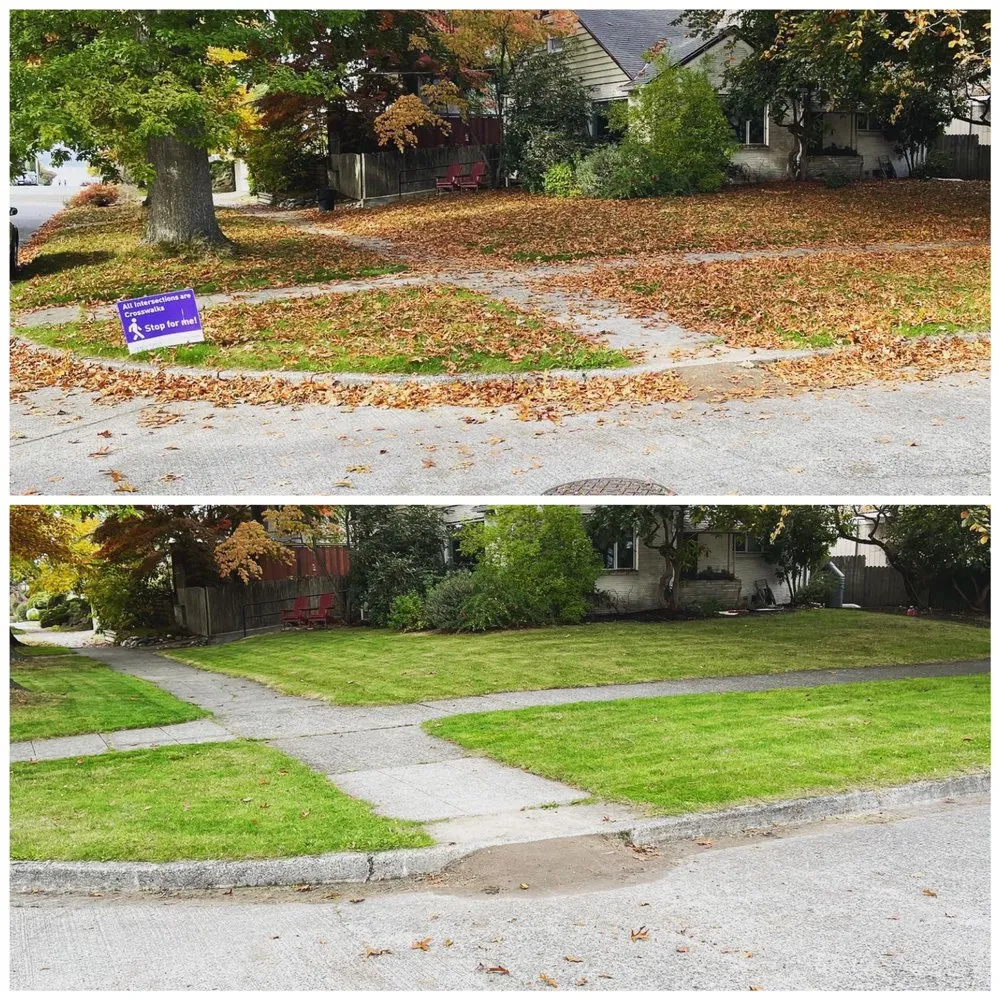 Reliable yard maintenance for outdoor upgrades across Seattle, WA - Bp Greenworks