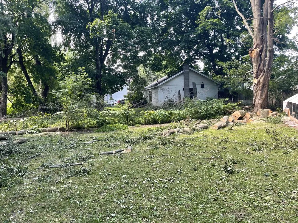 Reliable yard cleanup service in DeRuyter, NY - BP Land Clearing