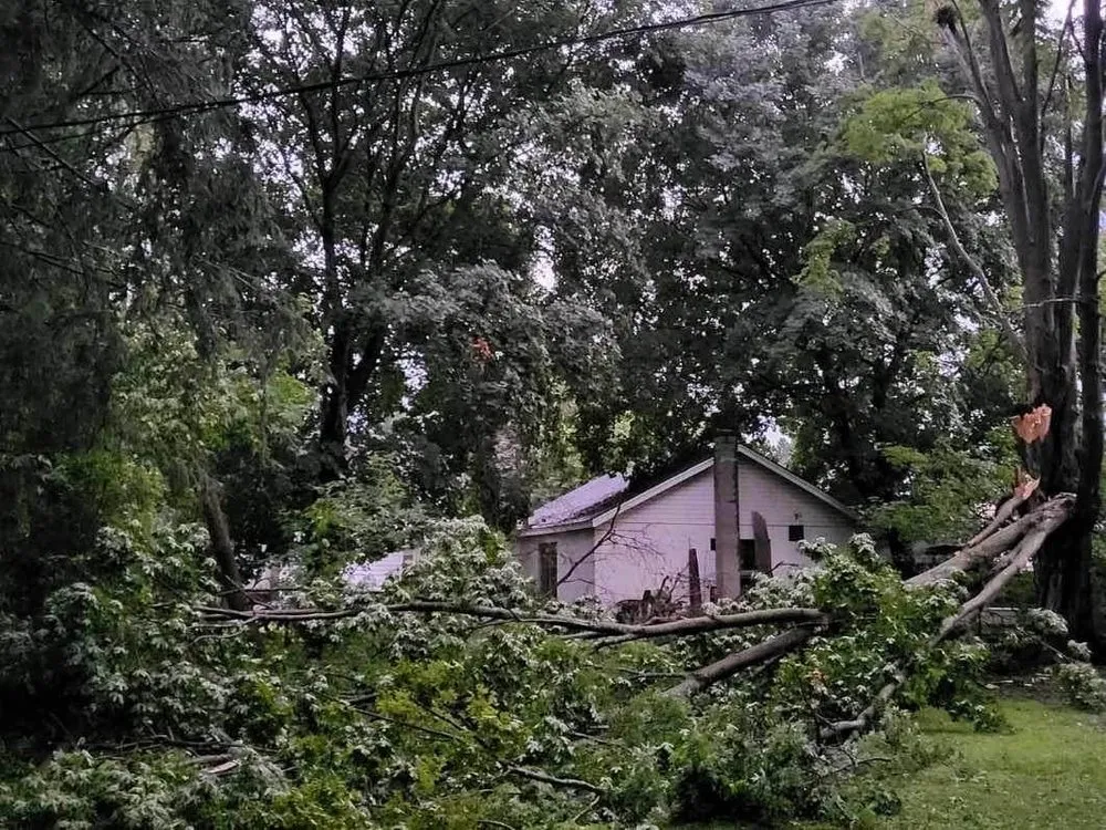 Expert landscape installation experts serving DeRuyter, NY - BP Land Clearing
