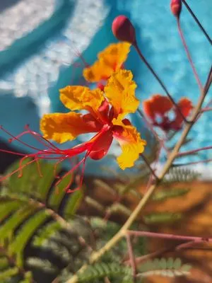 BP Land Services & Irrigation