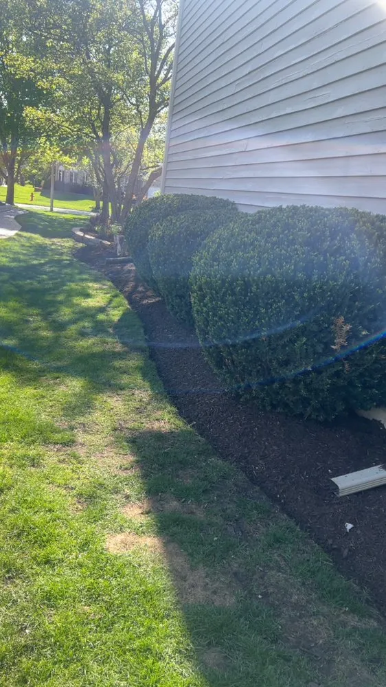 Top-rated landscape installation in Oswego, IL by B&P Landcare