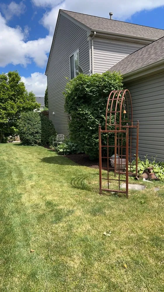 Top-rated lawn care service in Oswego, IL - B&P Landcare