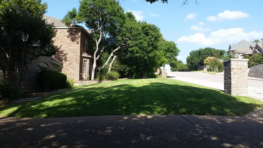 Local yard cleanup service for beautiful yards in Del Valle, TX by BP Landscapes