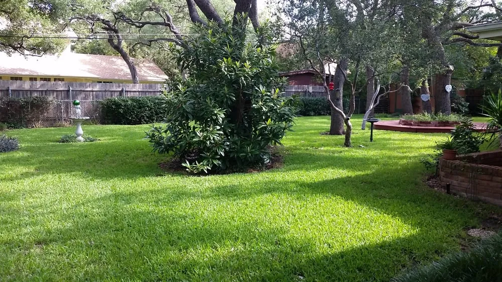 Local landscape design in Del Valle, TX by BP Landscapes