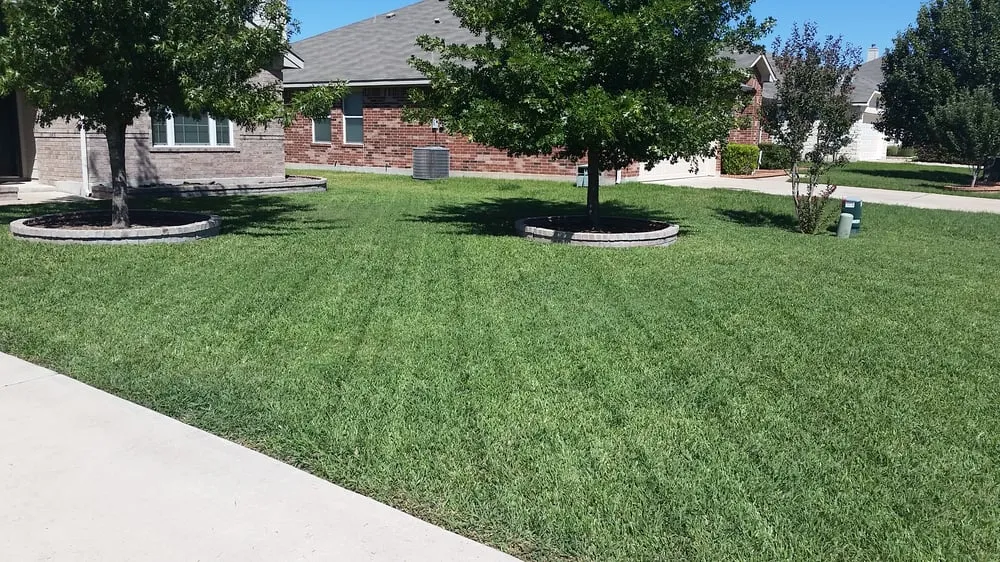 Local residential landscaping in Del Valle, TX by BP Landscapes