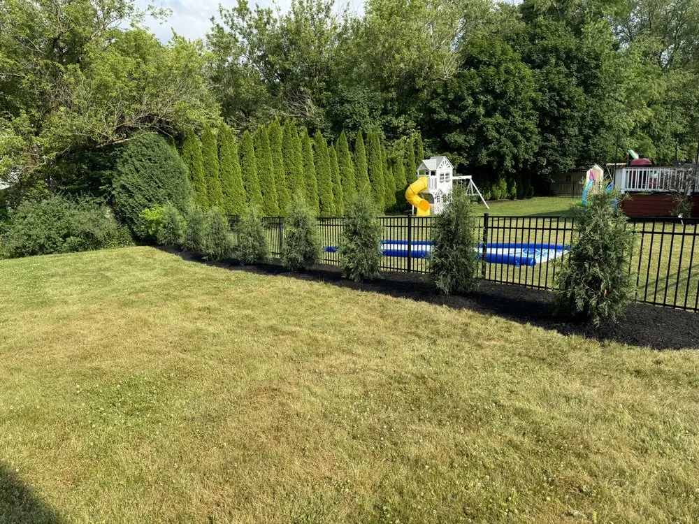 Affordable lawn care service in Akron, OH - BP Landscaping