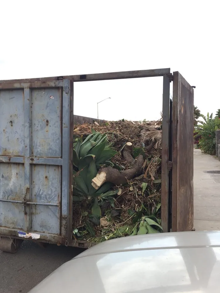 Trusted lawn care service for outdoor upgrades across Holualoa, HI - BP Landscaping