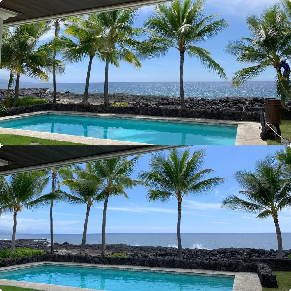 Local lawn care service in Holualoa, HI by BP Landscaping