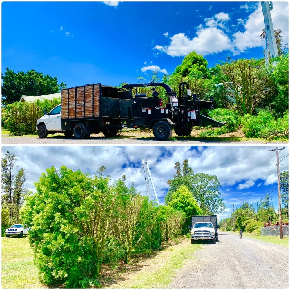 Custom landscape installation for residential properties in Holualoa, HI by BP Landscaping