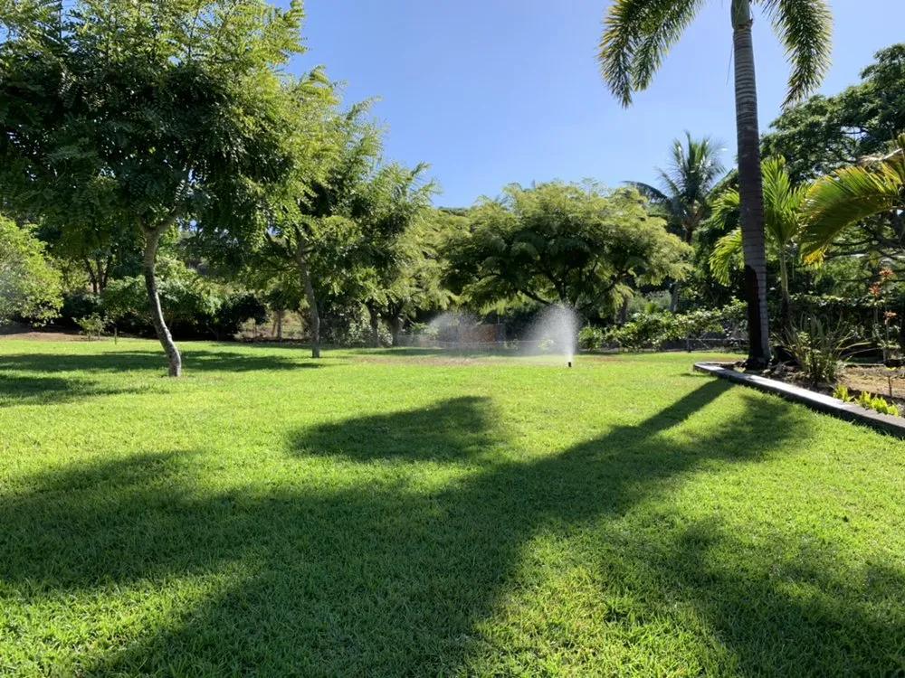 Local landscape design experts serving Holualoa, HI - BP Landscaping