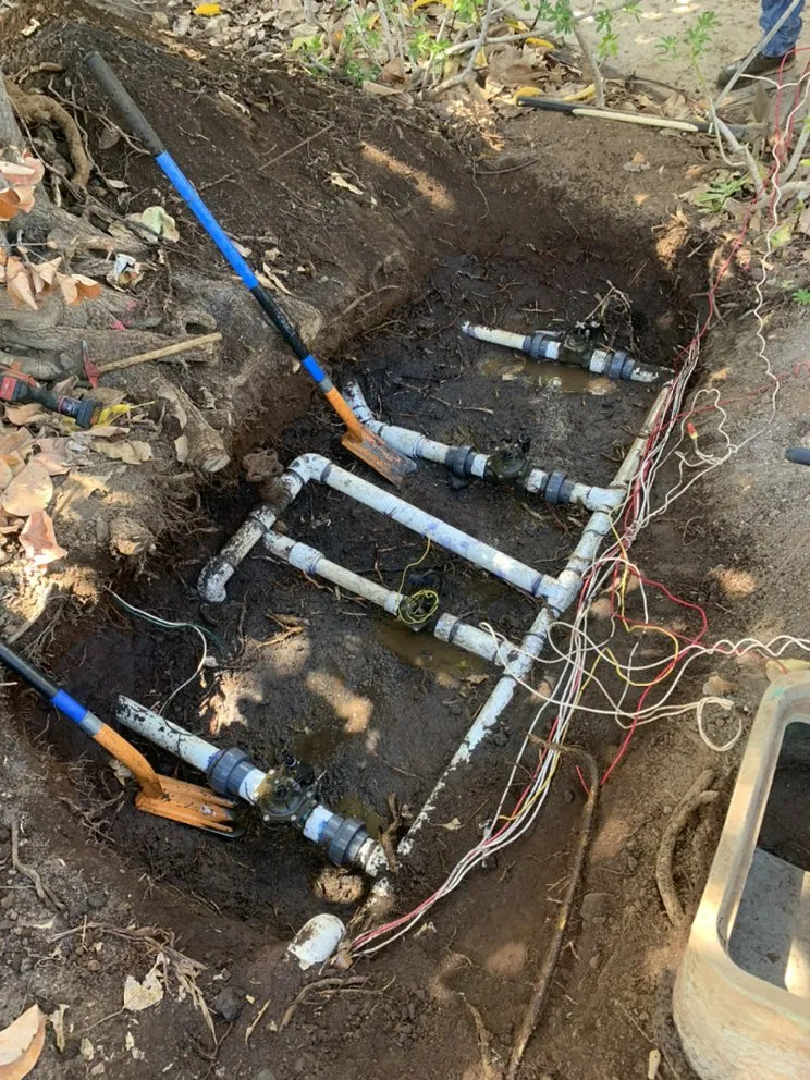 Affordable yard maintenance in Holualoa, HI by BP Landscaping