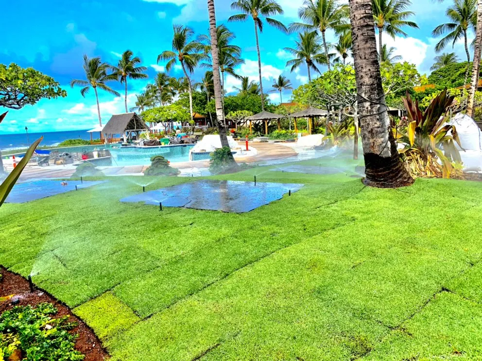Affordable garden landscaping experts serving Holualoa, HI - BP Landscaping