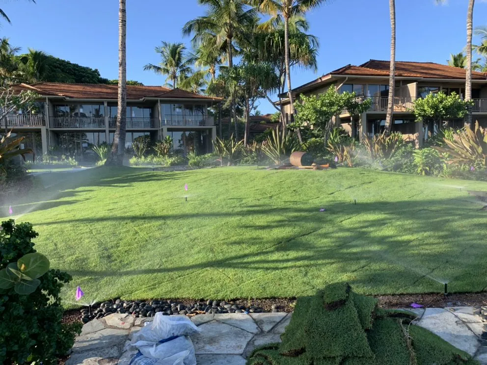 Trusted yard cleanup service for residential properties across Holualoa, HI - BP Landscaping