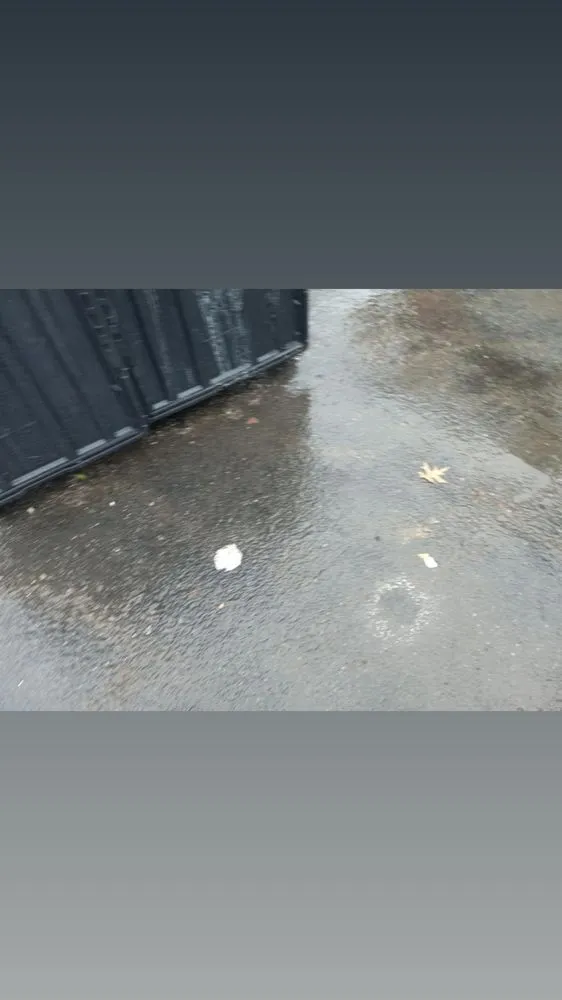 Top-rated yard cleanup service experts serving Philadelphia, PA - BP Lawn Care