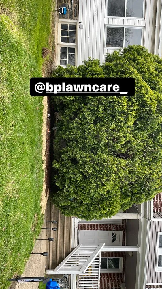 Top-rated landscaping services near you across Philadelphia, PA - BP Lawn Care