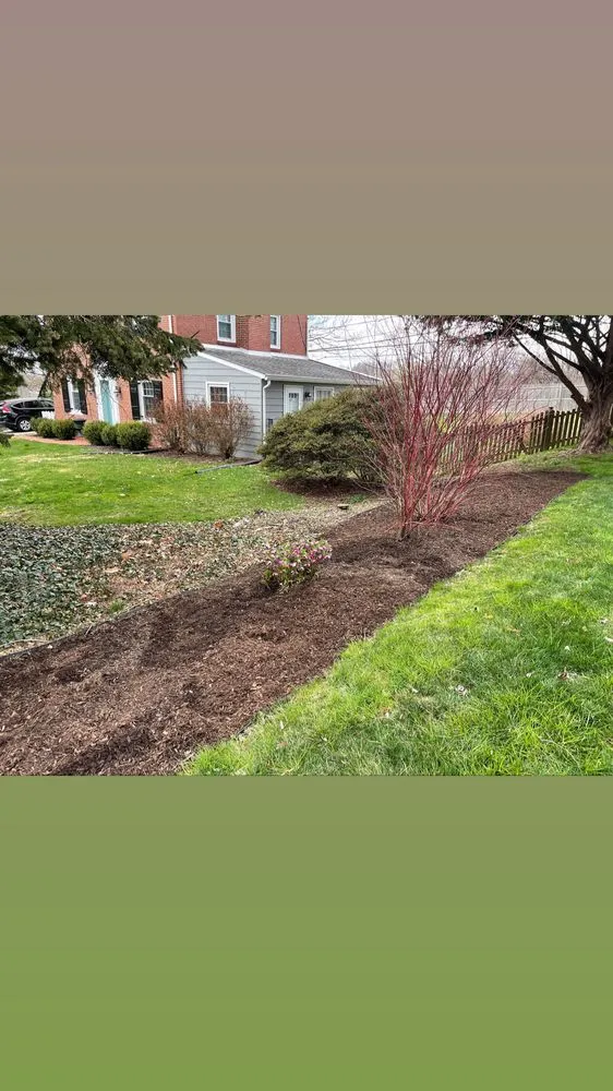 Expert yard cleanup service in Philadelphia, PA - BP Lawn Care
