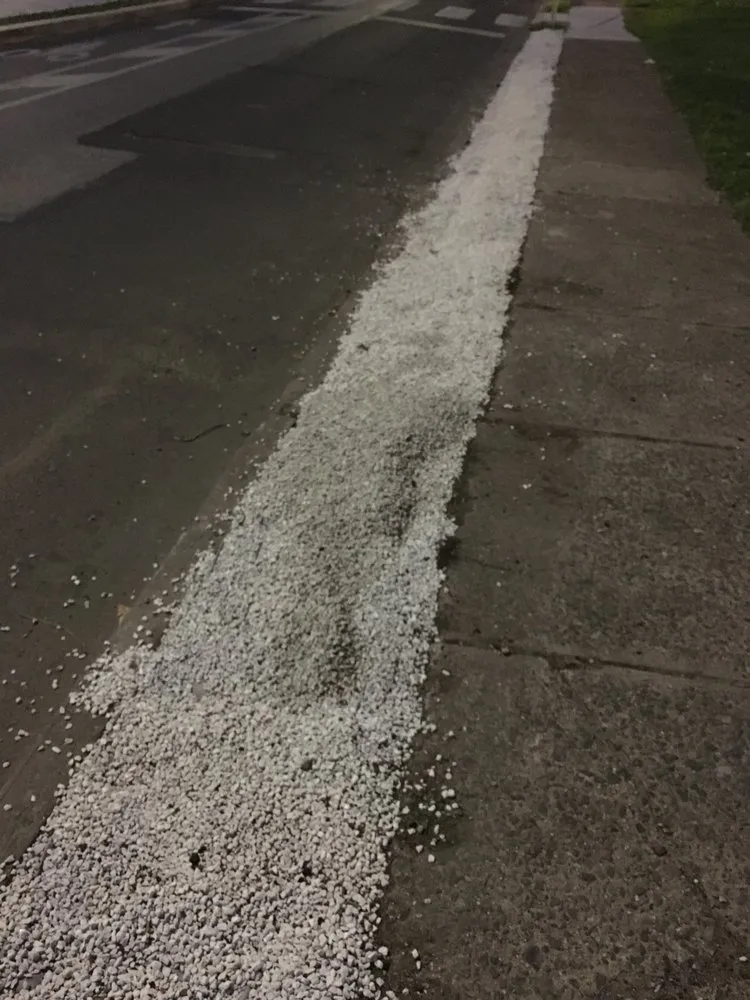 Trusted yard maintenance for beautiful yards across Philadelphia, PA - BP Lawn Care