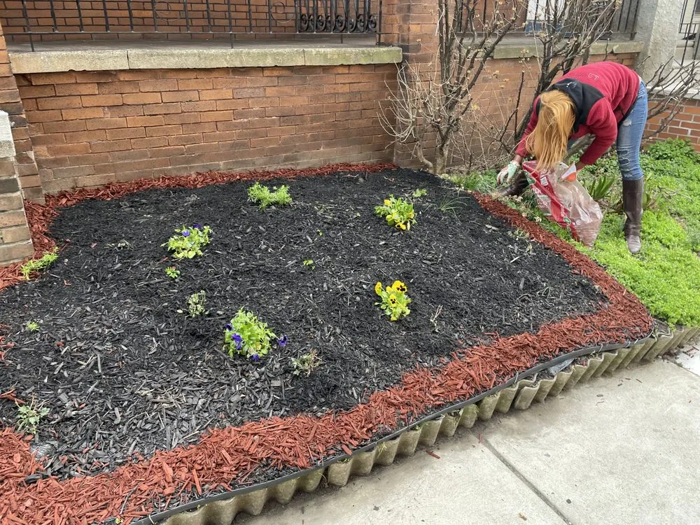 Custom landscape installation in Philadelphia, PA by BP Lawn Care
