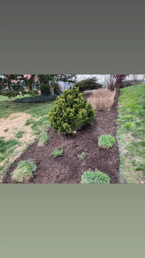 Professional outdoor landscaping experts serving Philadelphia, PA - BP Lawn Care
