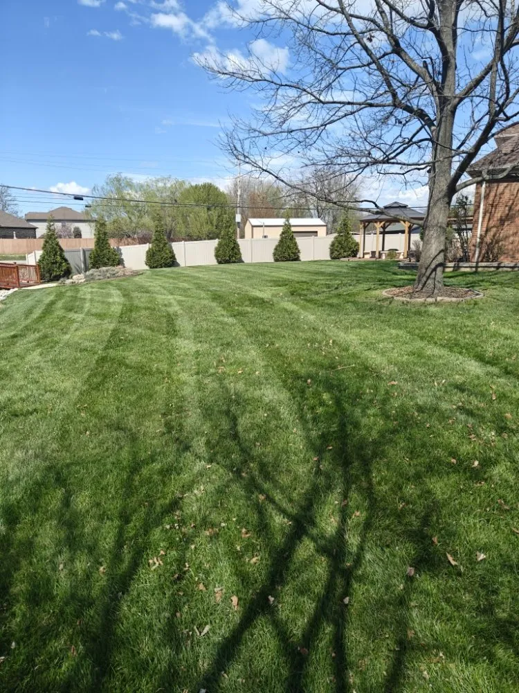 Reliable yard cleanup service in Evansville, IN by BP Lawn Treatments