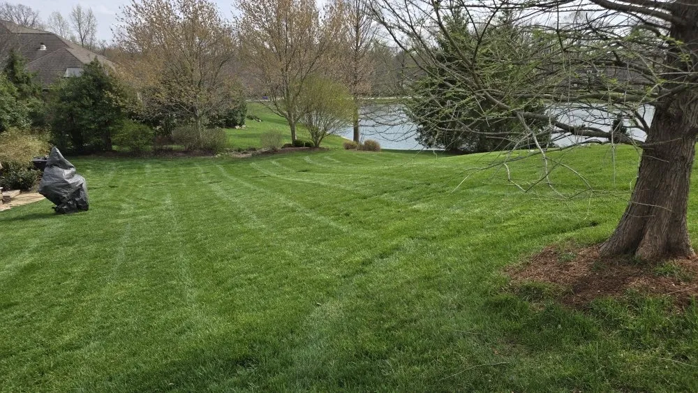 Custom landscape design experts serving Evansville, IN - BP Lawn Treatments