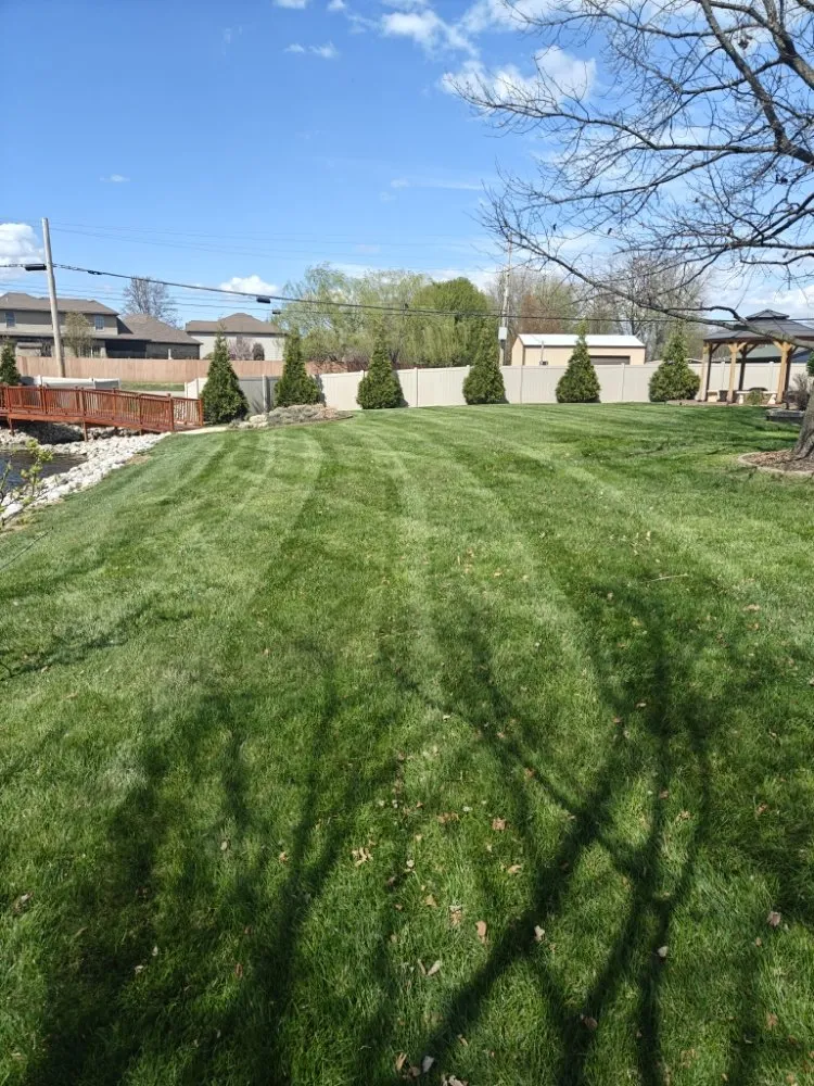 Reliable landscaping services in Evansville, IN - BP Lawn Treatments