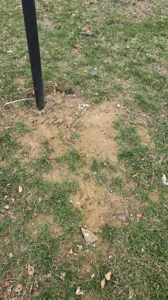 Professional landscape installation in Evansville, IN by BP Lawn Treatments