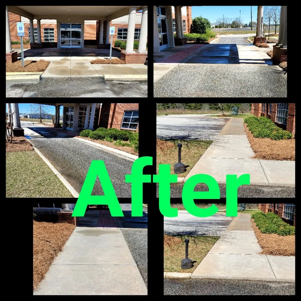 Local yard cleanup service experts serving Dothan, AL - B&P Lawncare