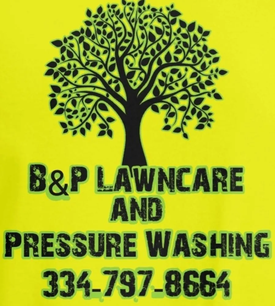 Expert yard cleanup service experts serving Dothan, AL - B&P Lawncare