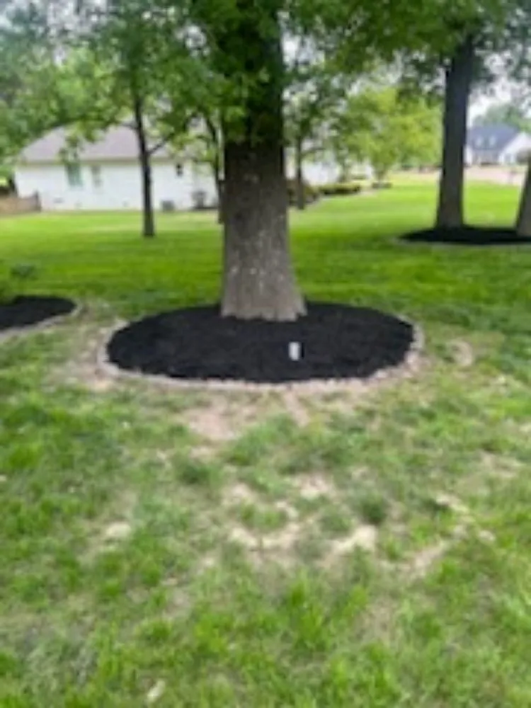 Trusted outdoor landscaping in Jackson, TN by Bp Mowing & Company