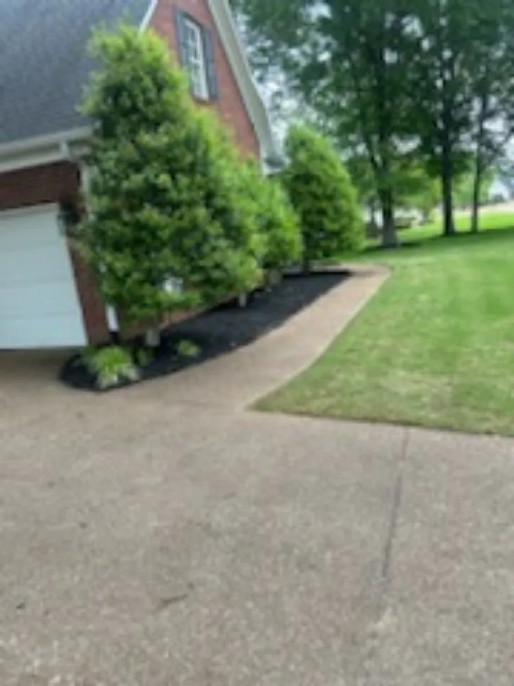 Affordable lawn care service in Jackson, TN by Bp Mowing & Company