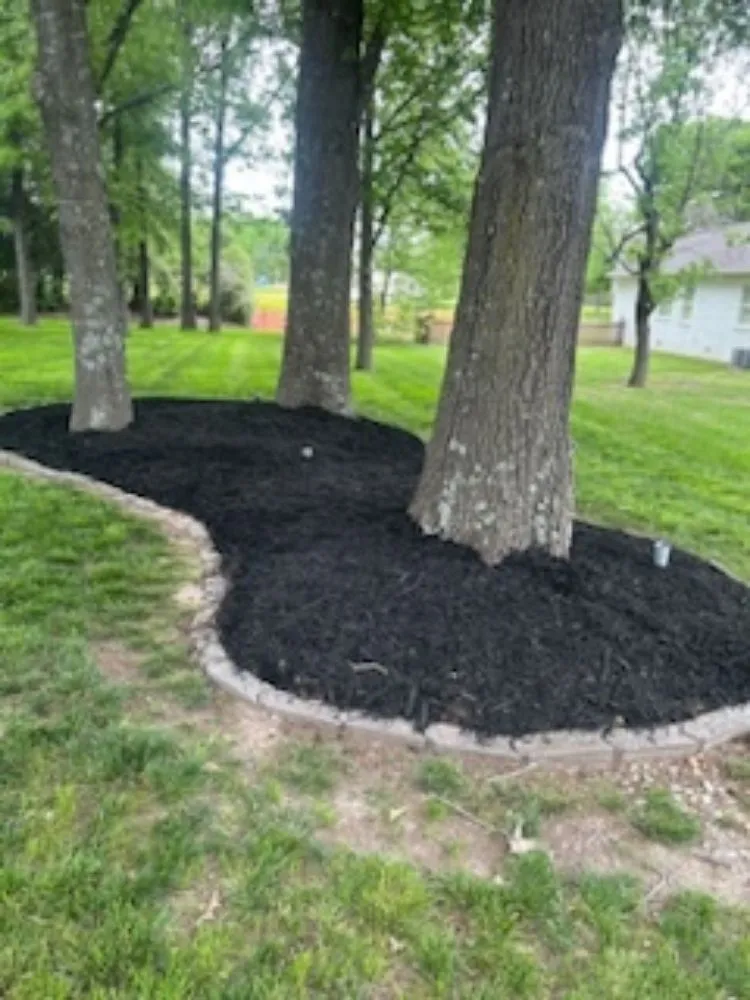 Reliable lawn mowing service experts serving Jackson, TN - Bp Mowing & Company