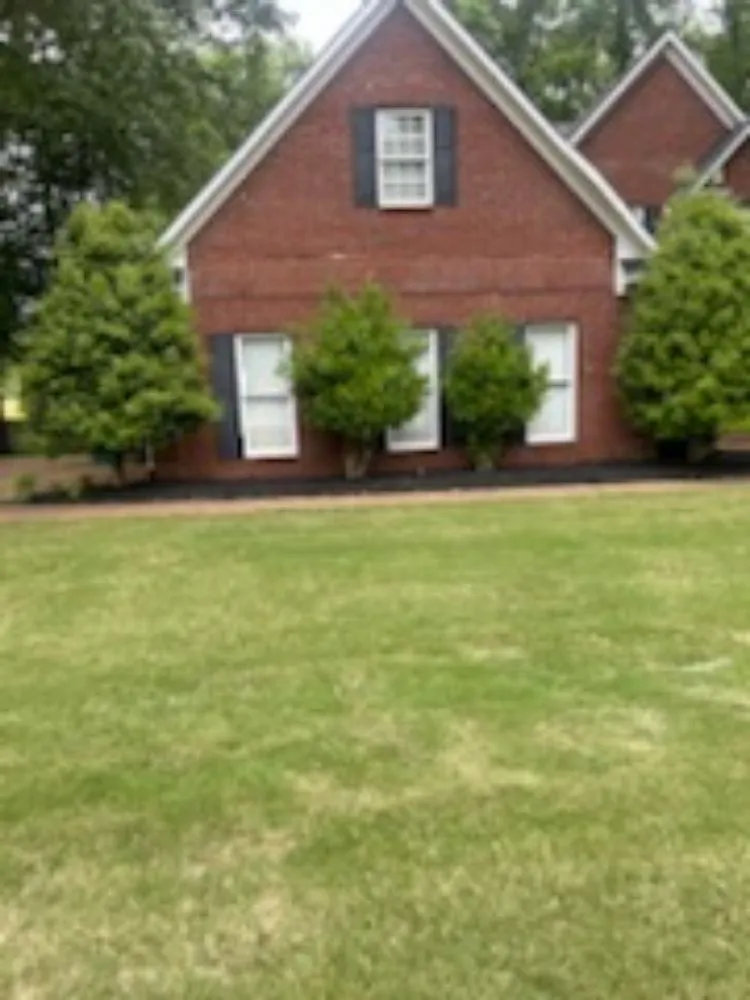 Local landscaping services near you across Jackson, TN - Bp Mowing & Company